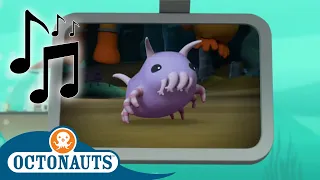 Octonauts - Cute Sea Pigs and Others | Cartoons for Kids | Creature Reports 🎵