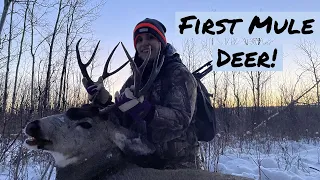 Carly's First BUCK! Mule Deer Hunting 2021