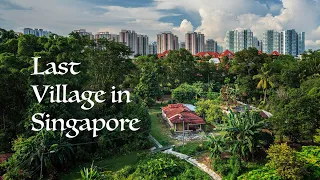 Last Village in Singapore: Kampong Lorong Buangkok