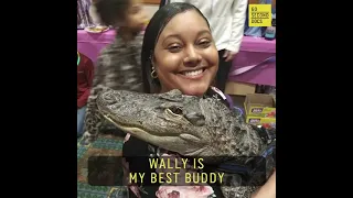 WALLY - The emotional support pet