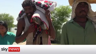 Pakistan floods: Desperate locals try to salvage belongings
