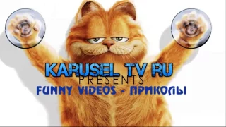 ПРИКОЛЫ 2015  Подборка лучшего  Funny videos! :)