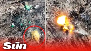 Ukrainian Ground Forces drop grenades in Russian trenches with weaponised drones