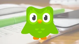 Duolingo Japanese: daily practice 243 of 365 - 31/08/23