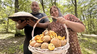 A frying pan with an Incredible Dish In the FOREST! Hobbies Of Millions Of People.