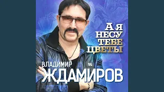 А я несу тебе цветы