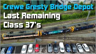 ‘LAST STANDING’ Class 37’s at Busy DRS Crewe Gresty Bridge Depot