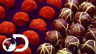 The Whole Process Of Making Chocolate | How Do They Do It?