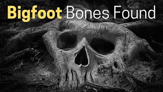 Bigfoot Bones Discovery Mystery | (Strange But True Stories!)