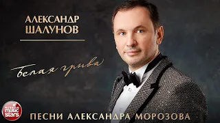 АЛЕКСАНДР ШАЛУНОВ ✮ БЕЛАЯ ГРИВА ✮ ПЕСНИ АЛЕКСАНДРА МОРОЗОВА ✮ НОВЫЕ РУССКИЕ РОМАНСЫ