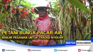 Petani Bunga Pacar Air Banjir Pesanan Untuk Tradisi Nyekar