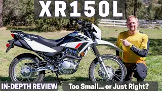 Honda XR150L | The $3,000 Dual Sport... Should You Buy One?