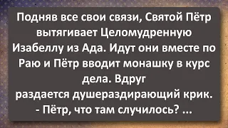 Монашка Изабелла и Святой Пётр! Сборник Самых Свежих Анекдотов! Юмор!