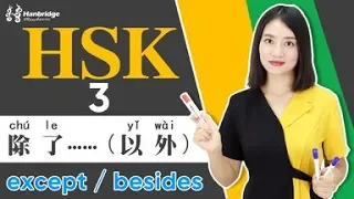 Let's learn HSK 3 sentence structure: 除了……（以外）