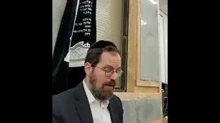 Pesach Hotels and Chinuch: Hashkafic remarks - R' Aryeh Lebowitz clips