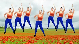 the most effective exercise daily routine, twist waist, reduce fat, lose belly fat/lovely dance fit