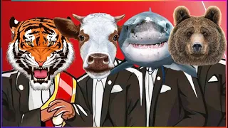 TIGER & COW & SHARK & ANGRY BEAR  (ANIMALS WORLD) - Coffin Dance X Baby Shark COVER