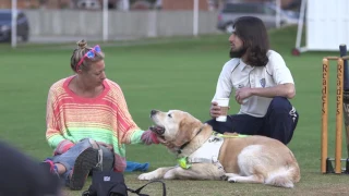 Stories behind the Guide Dogs Sponsor a Puppy TV Advert