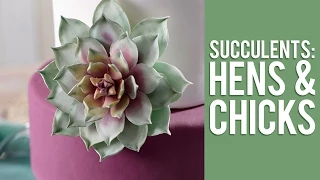 How to Make Gum Paste Echeveria Succulents