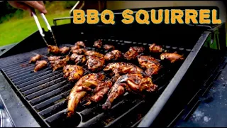 Squirrel Hunt Catch/Cook | Cooking Barbeque Squirrel | How to Make Squirrel Taste Like Chicken!