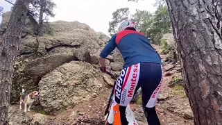 Toni bou increasingly incredible!!!!