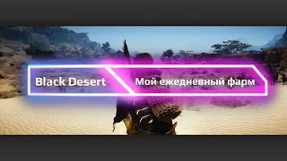 Black Desert Online. Мой ежедневный фарм(до 1.2 ккк за 2 часа игры)