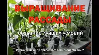 РАССАДА: создаём лучшие условия  #РАССАДА