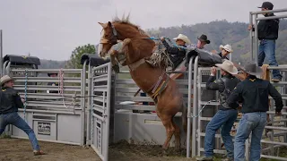 2021 4k Bronc Riding Practice Feat Joe Harper & Dougie Hall