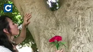 Дівчина побралася з деревом у Великій Британії