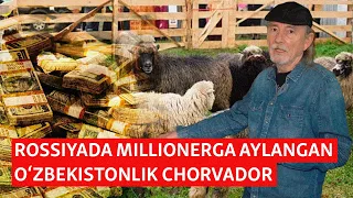 Millioner chorvador: Nega O‘zbekistonda qo‘y Moskvadan qimmat?