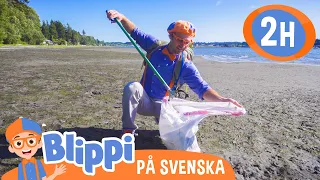 Lär dig om naturen på en vandringstur med Blippi | @BlippiSvenska | Pedagogiska videor för barn