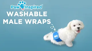 Washable Male Wraps | Paw Inspired® Reusable Belly Bands