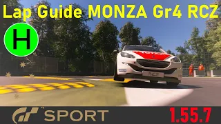 Monza  // Gr4 Peugeot RCZ // Lap Guide // Daily Race A // GT Sport // Hard Tyres