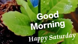 Good Morning//good Morning wishes. pls Do Subscribe @smilingthulasi3686 .#good Morning, #gm.