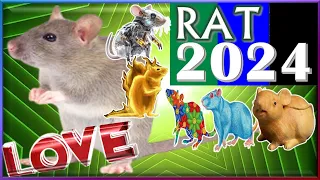 Rat Horoscope 2024 | Love | Born 2020, 2008, 1996, 1984, 1972, 1960, 1948, 1936