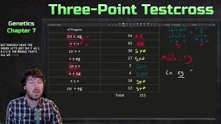 Three-Point Testcross Example | Genetics