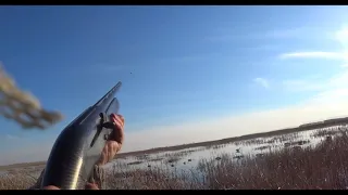 Охота в степи. Гусь и утка (Hunting in the steppe. Goose and duck)