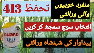 Which are  the high yielding hybrid varieties of paddy||rice crop||tahafuz413||Guard lp18#agrimatter