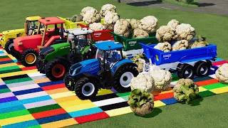 Tractor Of Colors! Cauliflower Transporting with Tractor- Farming Simulator 22