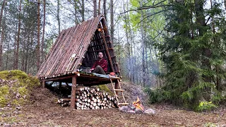 Three days in a wild forest!  Building a Bushcraft to survive in the wild. Cooking food over fire.