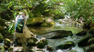 FLY FISHING WESTERN  NORTH CAROLINA FOR NATIVE BROOK TROUT *4K*