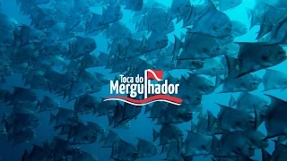 Episodio 1 - Destino de Mergulho: Conheça Paraty - RJ