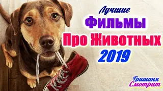 ФИЛЬМЫ ПРО ЖИВОТНЫХ 2019 ГОДА. 6 ЛУЧШИХ. Приключения 2019 года