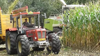 Asbreuk chopping corn