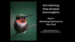 Ruby-throated Hummingbirds: Attracting Them to Your Yard