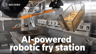 A robot designed for fast food and perfect fries