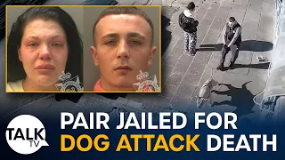 Pair jailed for Caerphilly dog attack death