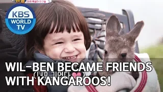 Will-Ben became friends with kangaroos! [The Return of Superman/2019.11.24]