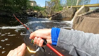 Spinner Fishing for BIG Brook Trout! - Trout Whisperer