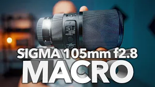 SIGMA105mm f2.8 DG DN ART | OBJETIVO MACRO para CÁMARAS SONY ALPHA